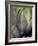 An Artichoke-Herbert Lehmann-Framed Photographic Print