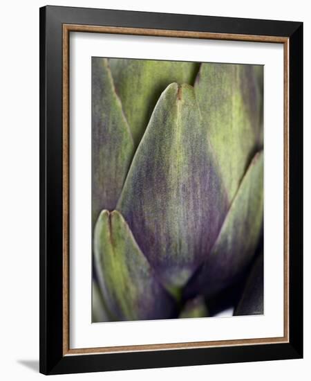 An Artichoke-Herbert Lehmann-Framed Photographic Print