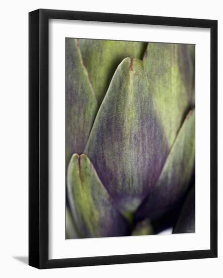 An Artichoke-Herbert Lehmann-Framed Photographic Print