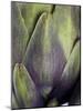 An Artichoke-Herbert Lehmann-Mounted Photographic Print