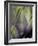 An Artichoke-Herbert Lehmann-Framed Photographic Print