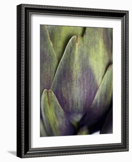 An Artichoke-Herbert Lehmann-Framed Photographic Print