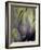 An Artichoke-Herbert Lehmann-Framed Photographic Print