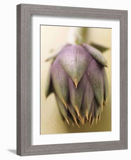 An Artichoke-Eising Studio - Food Photo and Video-Framed Photographic Print