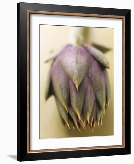 An Artichoke-Eising Studio - Food Photo and Video-Framed Photographic Print