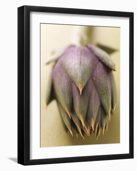 An Artichoke-Eising Studio - Food Photo and Video-Framed Photographic Print