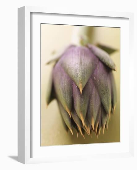 An Artichoke-Eising Studio - Food Photo and Video-Framed Photographic Print