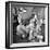 An Artifical Hip Joint Surgery-Al Fenn-Framed Premium Photographic Print