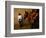 An Assistant of the Spanish Rejoneador Mounted Bullfighter Pablo Hermoso-null-Framed Photographic Print