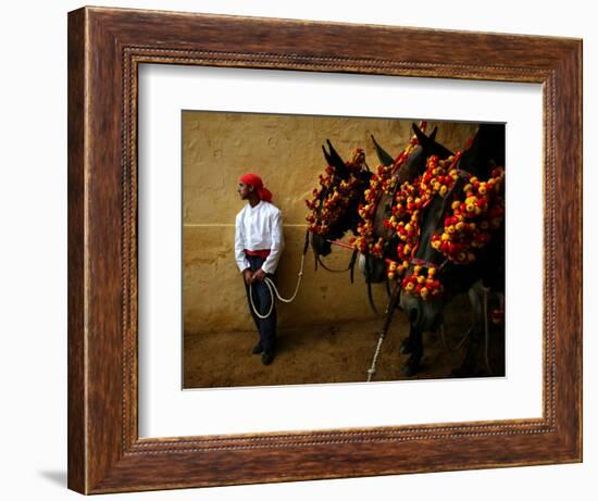 An Assistant of the Spanish Rejoneador Mounted Bullfighter Pablo Hermoso-null-Framed Photographic Print