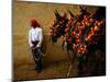 An Assistant of the Spanish Rejoneador Mounted Bullfighter Pablo Hermoso-null-Mounted Photographic Print