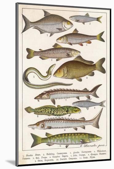 Photographic Print, , large