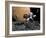 An Astronaut Makes First Human Contact with Mars' Moon Phobos-Stocktrek Images-Framed Photographic Print