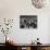 An Audience Watching the Play, "Man in a Dog Suit"-Ralph Morse-Photographic Print displayed on a wall