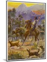 An Australian Bushman Rounds Up His Cattle with the Assistance of His Dogs-null-Mounted Art Print