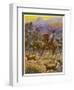 An Australian Bushman Rounds Up His Cattle with the Assistance of His Dogs-null-Framed Premium Giclee Print
