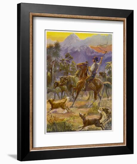 An Australian Bushman Rounds Up His Cattle with the Assistance of His Dogs-null-Framed Art Print