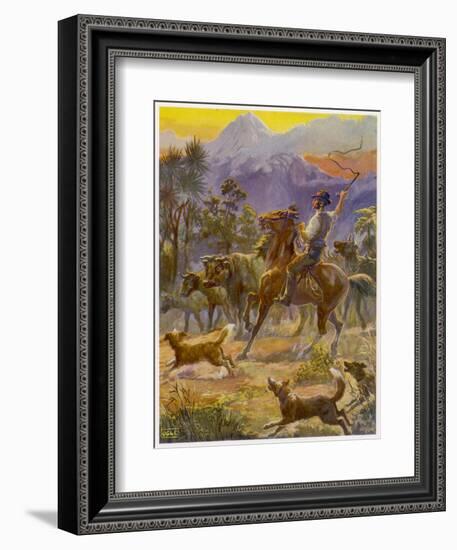 An Australian Bushman Rounds Up His Cattle with the Assistance of His Dogs-null-Framed Art Print