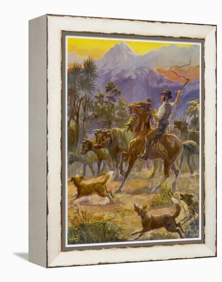 An Australian Bushman Rounds Up His Cattle with the Assistance of His Dogs-null-Framed Stretched Canvas