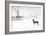 An Australian Shepherd, Cattle Dog Mix Pup Takes A Walk In The Snow-Karine Aigner-Framed Photographic Print