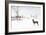 An Australian Shepherd, Cattle Dog Mix Pup Takes A Walk In The Snow-Karine Aigner-Framed Photographic Print