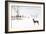 An Australian Shepherd, Cattle Dog Mix Pup Takes A Walk In The Snow-Karine Aigner-Framed Photographic Print