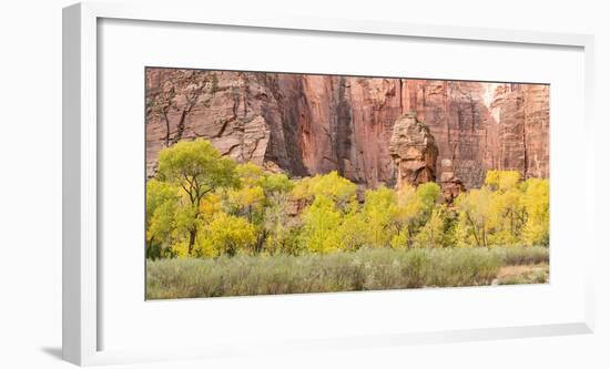 An Autumn Afternoon, Zion National Park, Utah-Colin D. Young-Framed Photographic Print