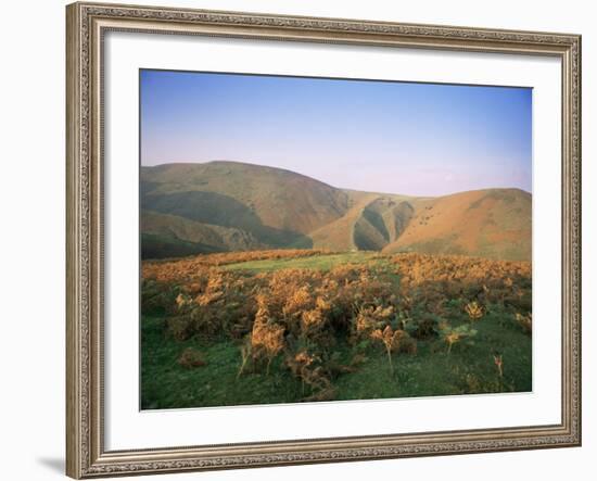 An Autumn Evening, the Long Mynd, Shropshire, England, United Kingdom-David Hughes-Framed Photographic Print