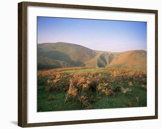 An Autumn Evening, the Long Mynd, Shropshire, England, United Kingdom-David Hughes-Framed Photographic Print