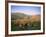 An Autumn Evening, the Long Mynd, Shropshire, England, United Kingdom-David Hughes-Framed Photographic Print