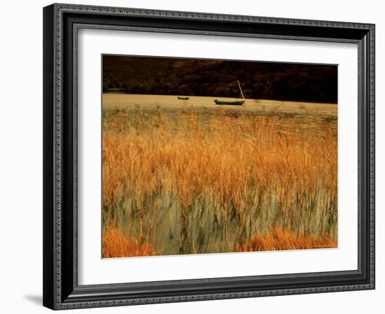 An Autumn Morning, Coniston Water, Lake District National Park, Cumbria, England-David Hughes-Framed Photographic Print