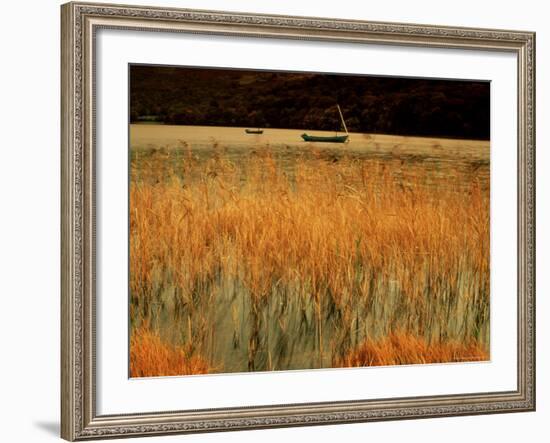An Autumn Morning, Coniston Water, Lake District National Park, Cumbria, England-David Hughes-Framed Photographic Print