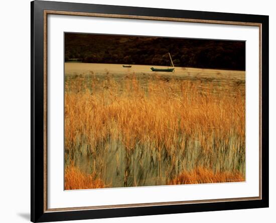 An Autumn Morning, Coniston Water, Lake District National Park, Cumbria, England-David Hughes-Framed Photographic Print