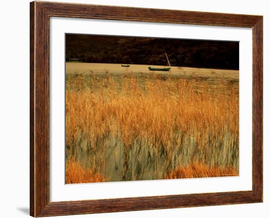 An Autumn Morning, Coniston Water, Lake District National Park, Cumbria, England-David Hughes-Framed Photographic Print