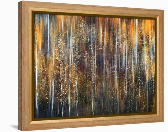 An Autumn Song-Ursula Abresch-Framed Premier Image Canvas