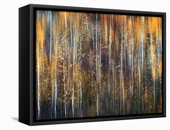 An Autumn Song-Ursula Abresch-Framed Premier Image Canvas