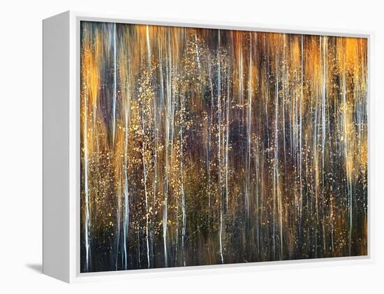 An Autumn Song-Ursula Abresch-Framed Premier Image Canvas