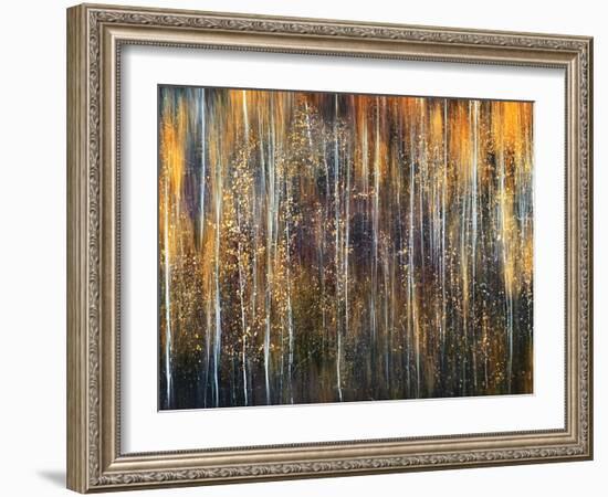 An Autumn Song-Ursula Abresch-Framed Premium Photographic Print