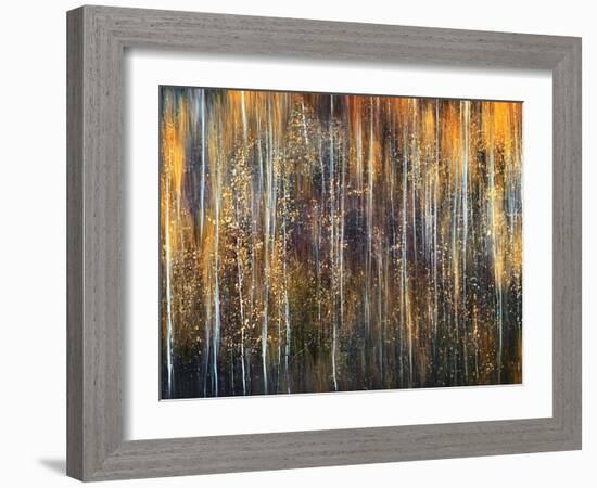 An Autumn Song-Ursula Abresch-Framed Premium Photographic Print