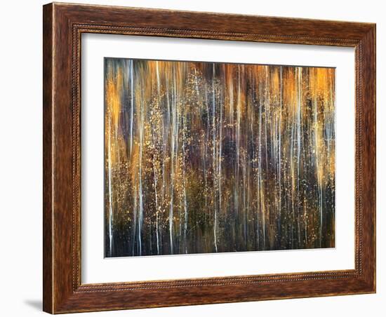 An Autumn Song-Ursula Abresch-Framed Premium Photographic Print