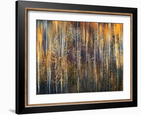 An Autumn Song-Ursula Abresch-Framed Premium Photographic Print