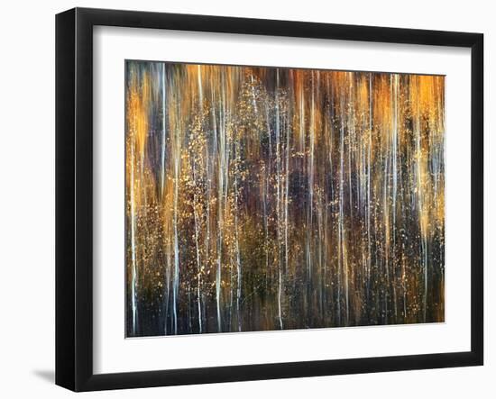 An Autumn Song-Ursula Abresch-Framed Premium Photographic Print