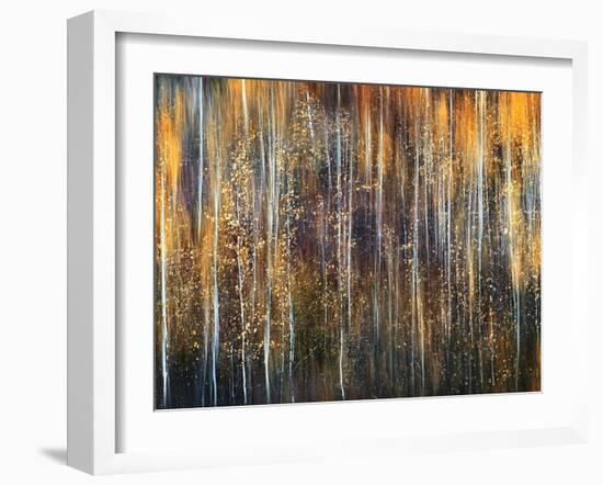 An Autumn Song-Ursula Abresch-Framed Premium Photographic Print