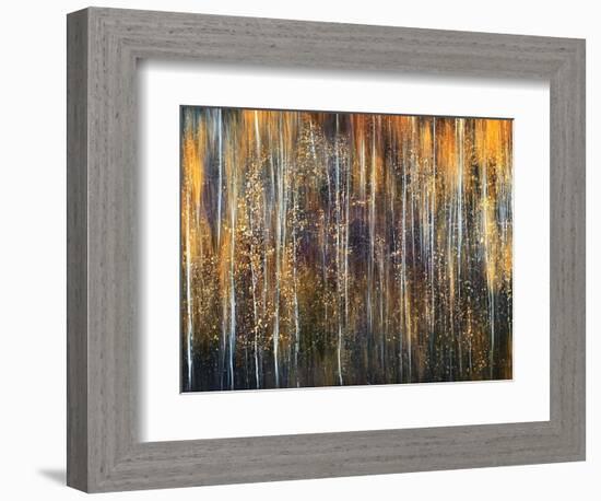 An Autumn Song-Ursula Abresch-Framed Premium Photographic Print