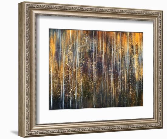 An Autumn Song-Ursula Abresch-Framed Photographic Print