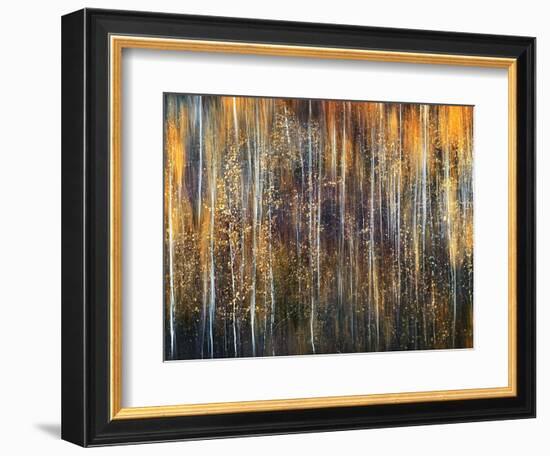 An Autumn Song-Ursula Abresch-Framed Photographic Print