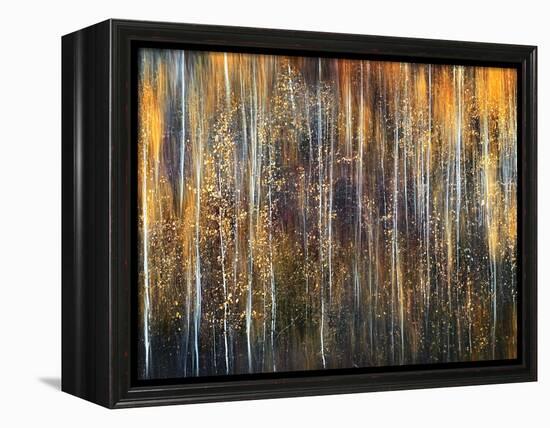 An Autumn Song-Ursula Abresch-Framed Premier Image Canvas