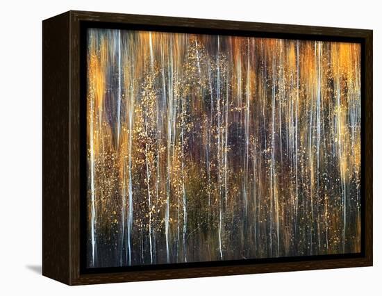 An Autumn Song-Ursula Abresch-Framed Premier Image Canvas