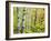 An Autumn View of a Birch Forest in Michigan's Upper Peninsula.-Julianne Eggers-Framed Photographic Print