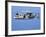 An E-2C Hawkeye in Flight Over the Arabian Sea-Stocktrek Images-Framed Photographic Print